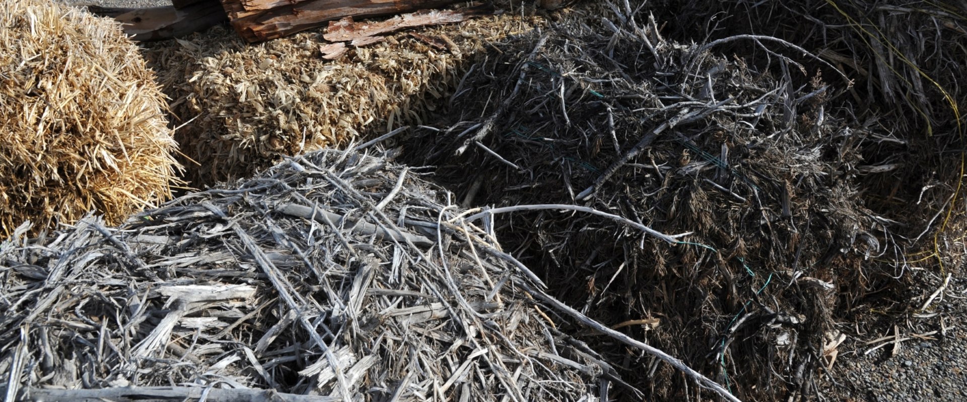 The Importance Of Biomass Energy In Central Mississippi's Economic And Environmental Landscape