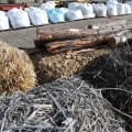 The Importance Of Biomass Energy In Central Mississippi's Economic And Environmental Landscape